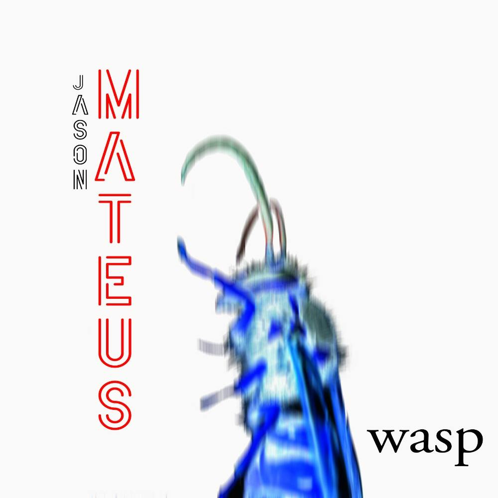 Wasp