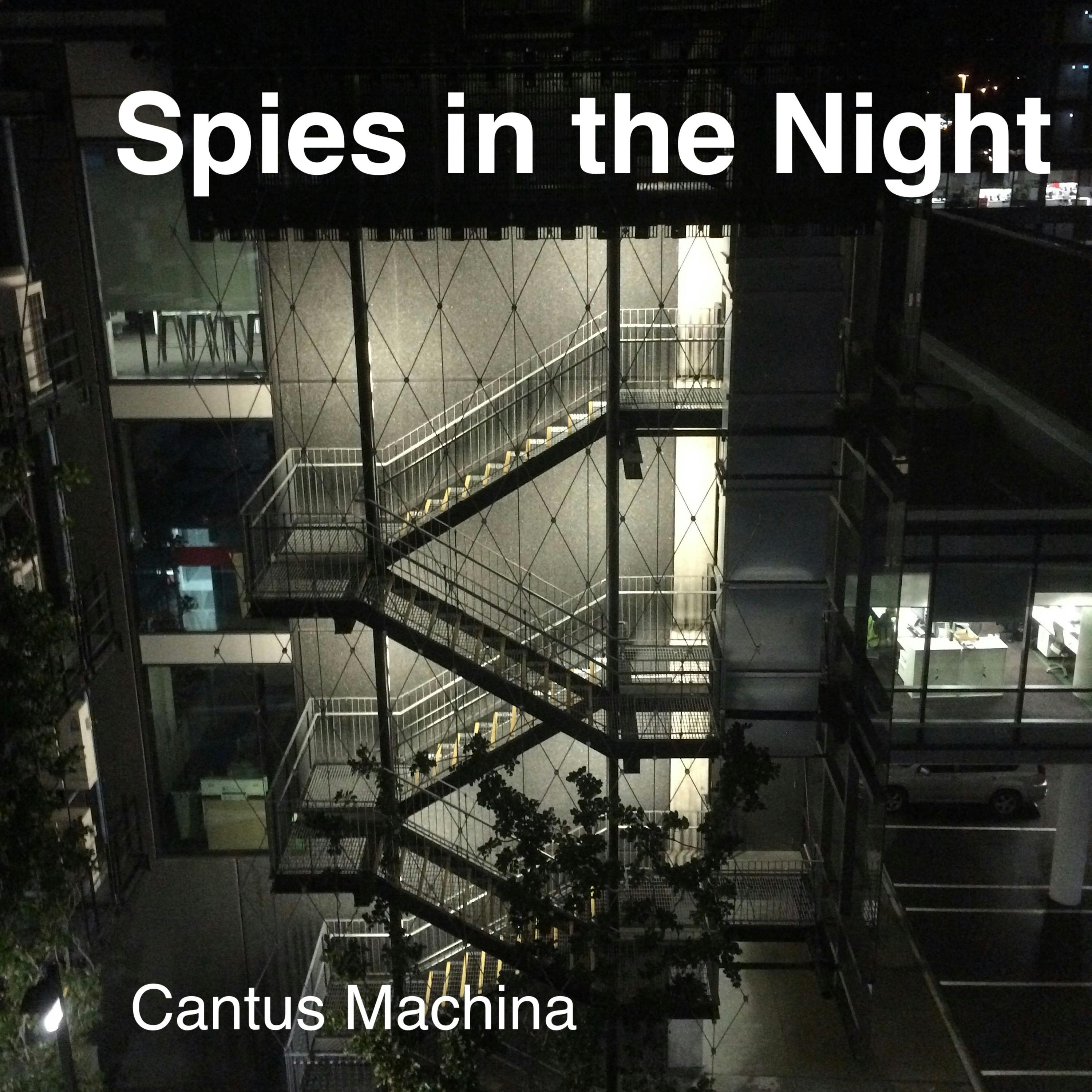 Spies in the Night
