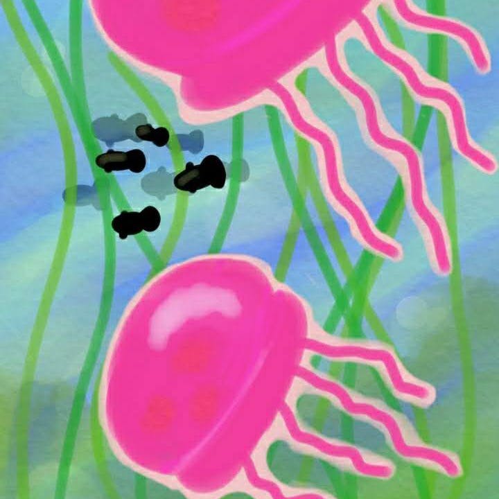 Jellyfish Society